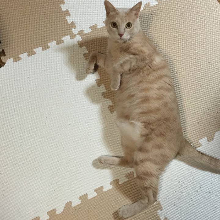 Eb11253f 9948 4b1b 9e4e e13acb3d1fce