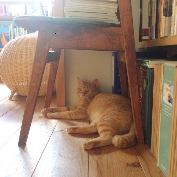 Eb115199 2ed1 4a61 9e6b c873f613f80c