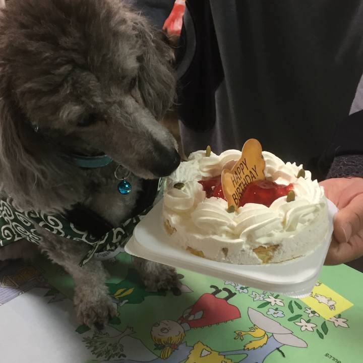 Eb11fb2c 4bbc 43db 94d3 9b068d3c9a74