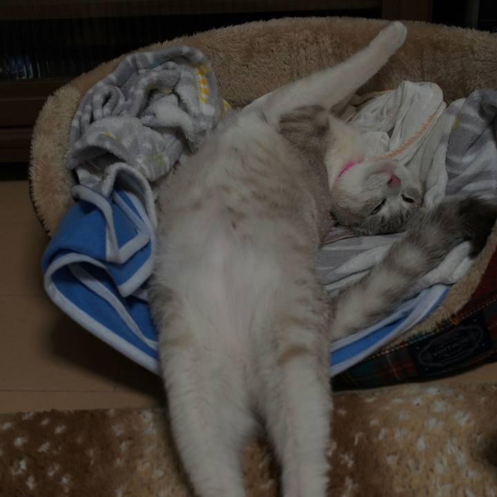 Eb121a9c f053 4eab 8d33 1953901757c6