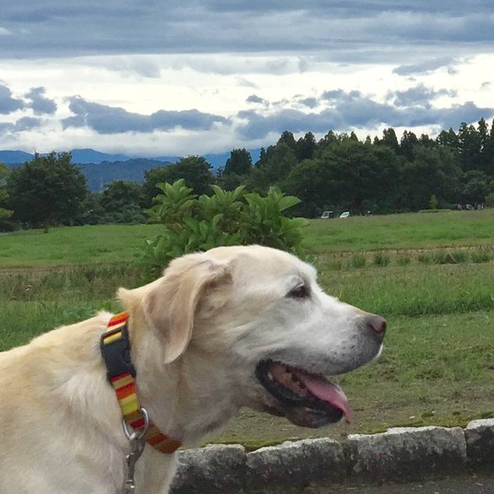 Eb12a2ec da40 415c b9cc b27582709b65