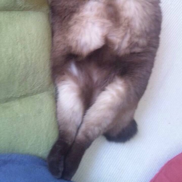 Eb12b6e7 9d3f 42a8 9c3f 1b141bcf0eaa