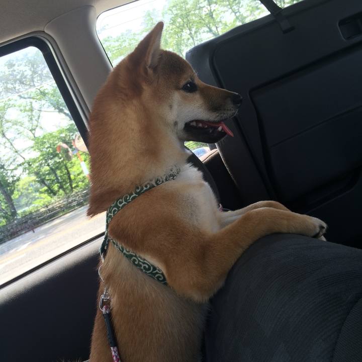 Eb13548c 28cc 47bd 94b9 f8d707e63c75