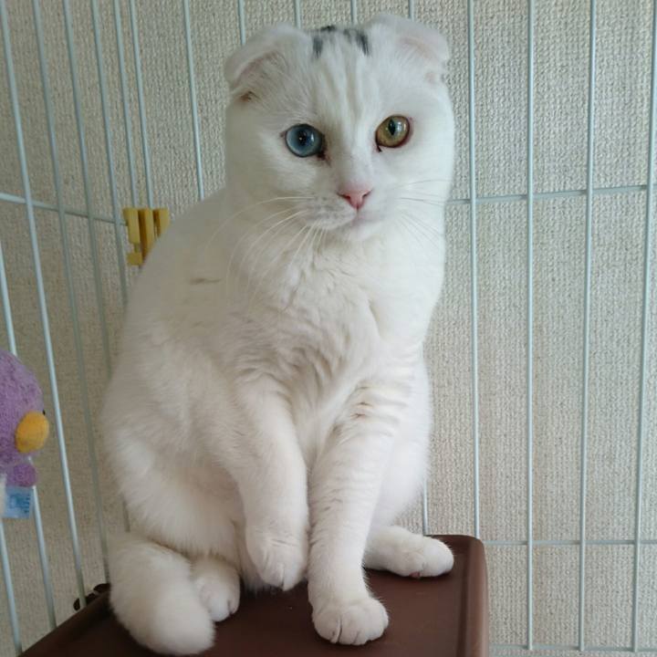 Eb13a827 1a5f 49ab 8b43 aa5880524273