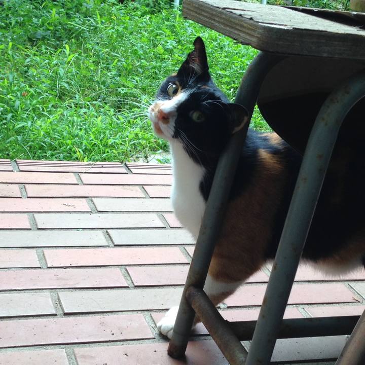 Eb1458a0 8030 4aca 9697 3b579dcba428