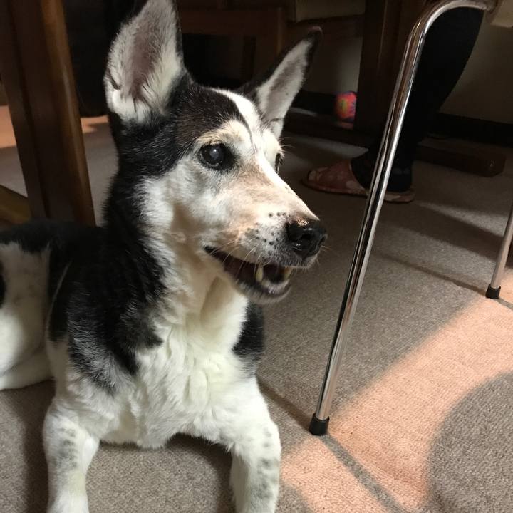 Eb14c8ea 56d9 4ed3 8027 135e3c9948af