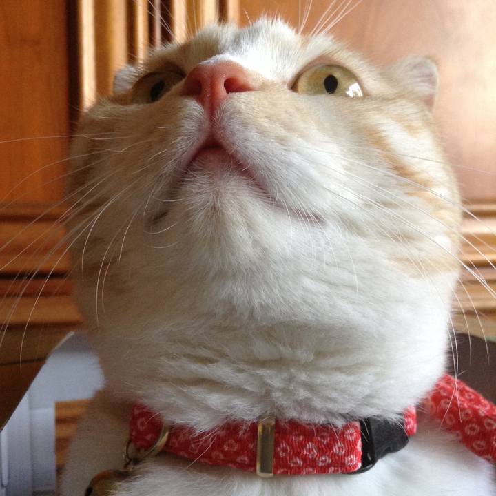 Eb15393f 1cb4 460f 96a8 507e7f3a67b0