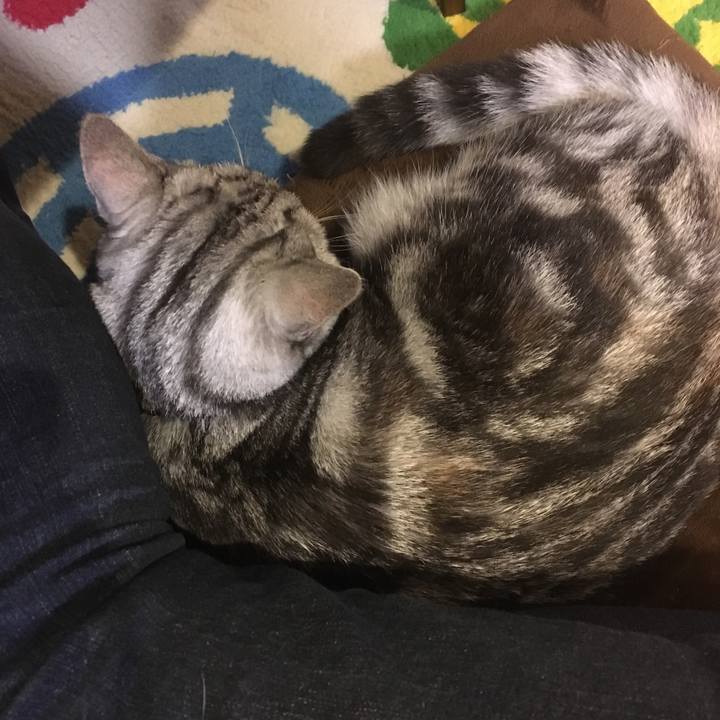 Eb1587ff ddd6 4012 b4c7 8f1f93c4d709