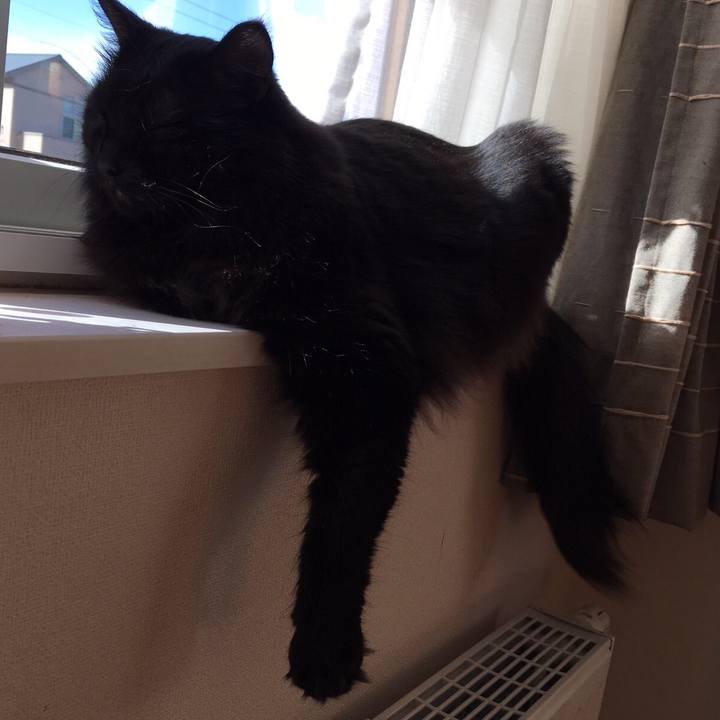 Eb15dced e38c 4d8e a0ba 7c573311e877