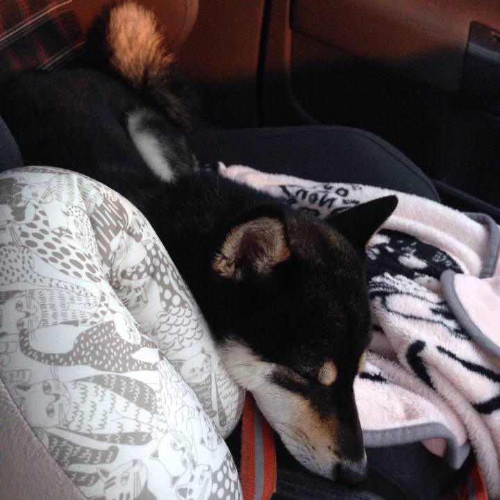 Eb1619ad 7b2a 4657 b997 9b25c4d37f41