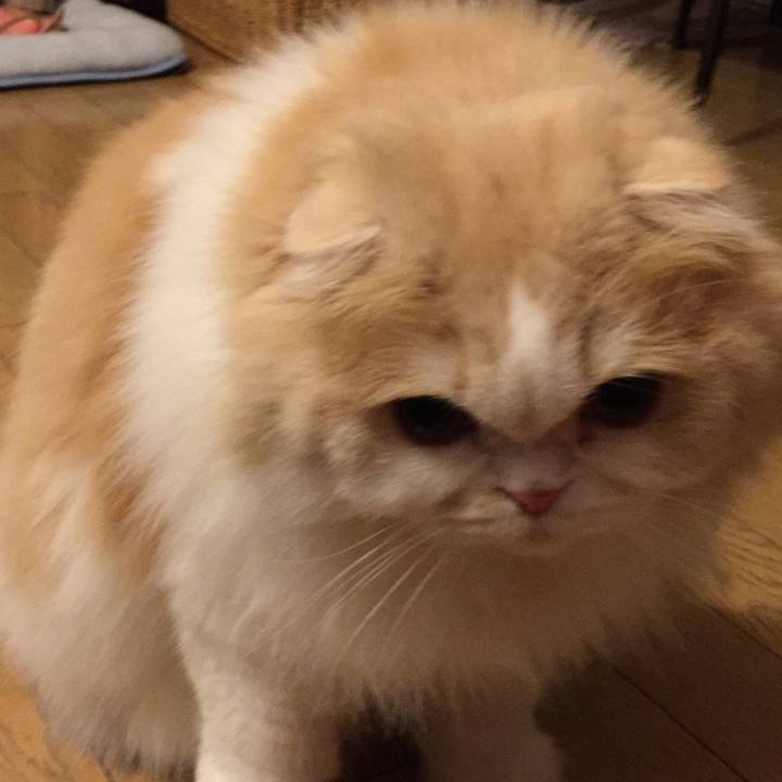 Eb165773 1605 4c94 8065 a6078f60e322