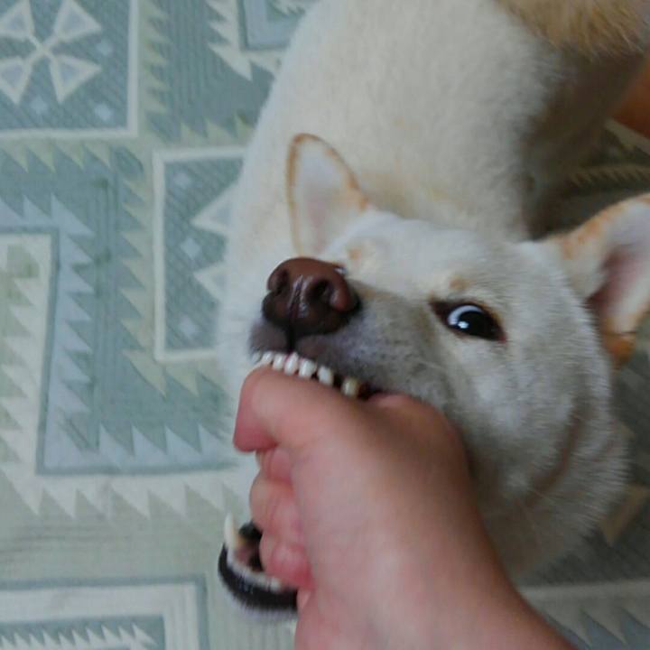 Eb166d2d 5ad6 4ecd aaa3 e1ee19741de7