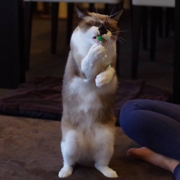 Eb167d95 6b88 404a 9272 9d3173412fdd