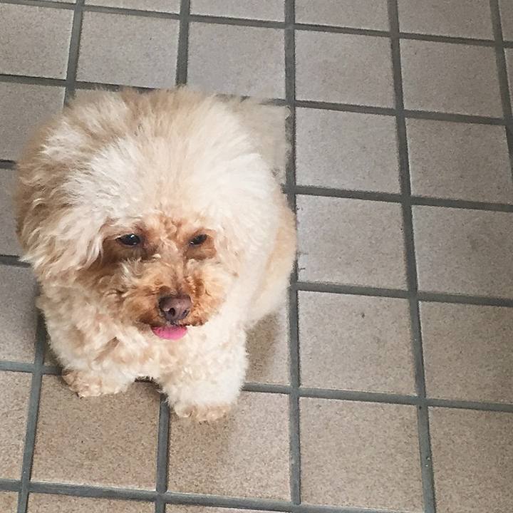 Eb16ae02 4979 4f1d a50e 31d47c759824