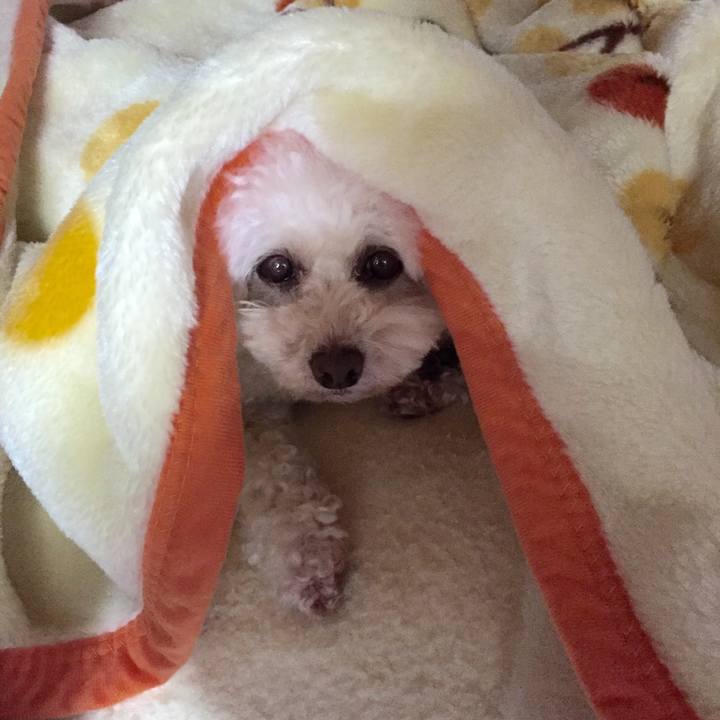 Eb16bb50 e637 4c5d b356 bcefbd8f81a2