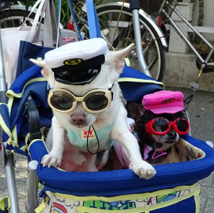 Eb17413e 7fe7 4c73 8877 b5d1a710c352