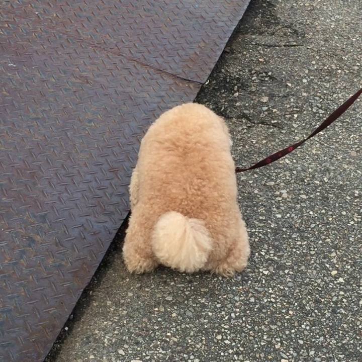 Eb174f40 3efe 4005 bbbc 17b4376ff9de