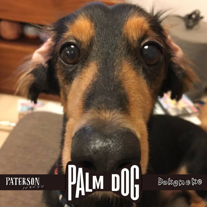 Eb17eece 66ac 4085 9db8 df446c3df283