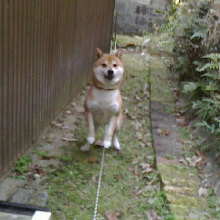 Eb18dd9a 1258 482d 8473 0564b73ed0b5