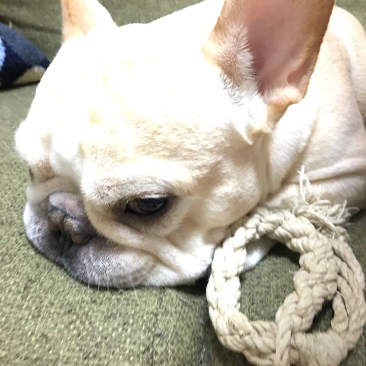 Eb191240 e432 461d 8ab1 ed042a6022d4