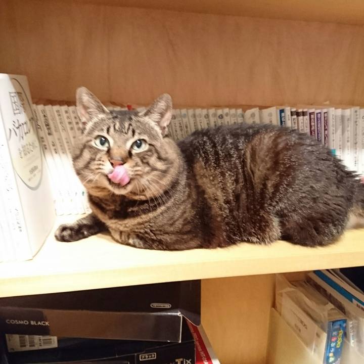 Eb195bcb 8432 4493 b756 05c2b3f1fe1b