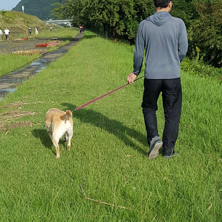 Eb19da0e 8528 4f05 9449 0eab2d1a11fe