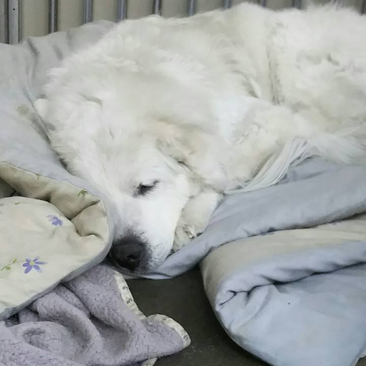 Eb1a0b23 0266 4cd3 821c 607b9f3e99af