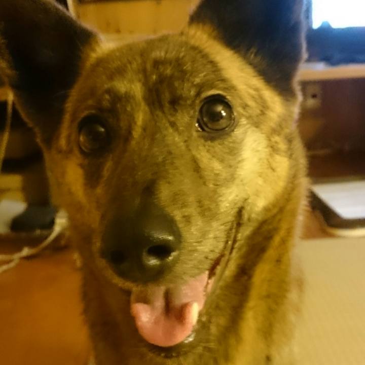 Eb1b43a8 2b1c 489b 92f8 1e8443e91c63