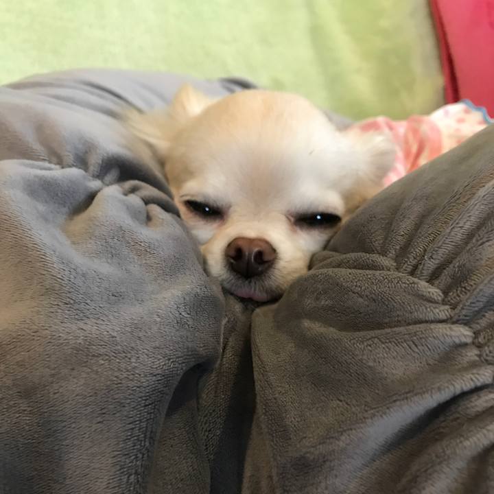 Eb1b7277 b99c 412d bf7e bda213fca254