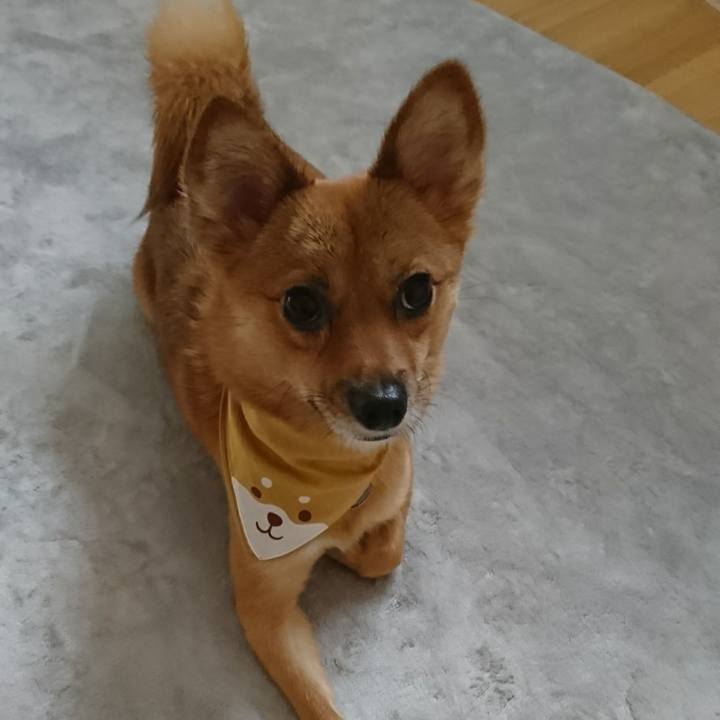 Eb1b8790 b4a7 41ed 9ddc a2ef8d84492d