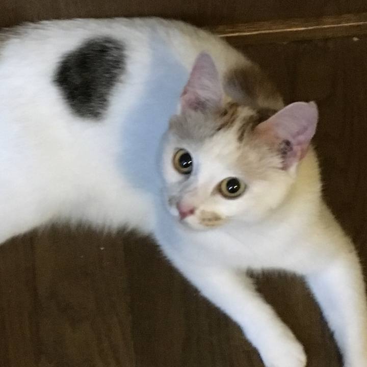 Eb1bbc21 f07e 48b0 81e3 20b3c6a7fbe5