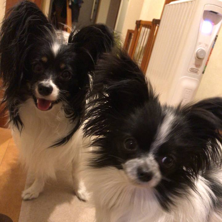 Eb1bbf49 a91e 4111 8bb3 349a32c21017