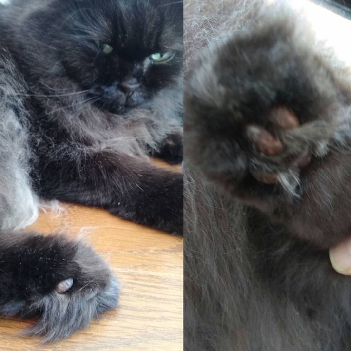 Eb1bc6ef a69a 4bbb 8c06 a500c5036468