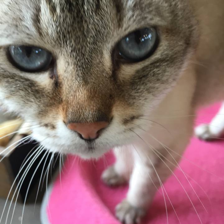 Eb1c2be6 80e5 4396 b77d e1d2b7ecb4cb