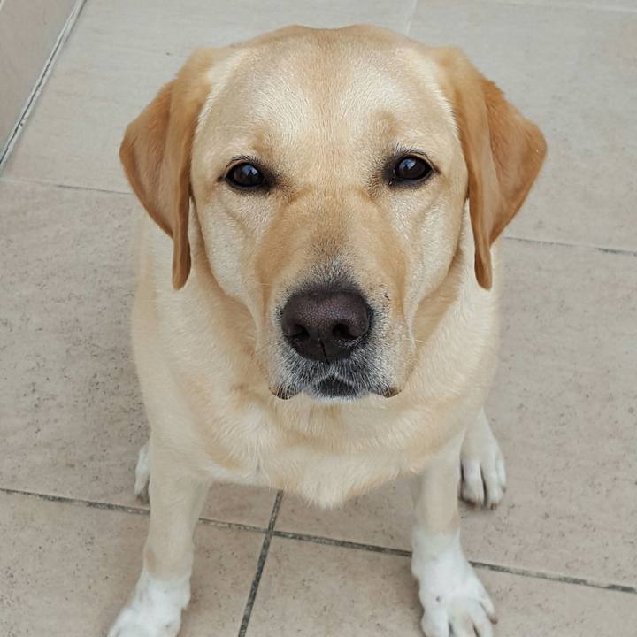 Eb1c8410 34f4 4dce 909c 855e3780ca97