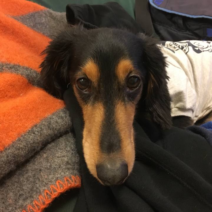 Eb1ccbfa f3ca 4563 9c05 f838508aa355