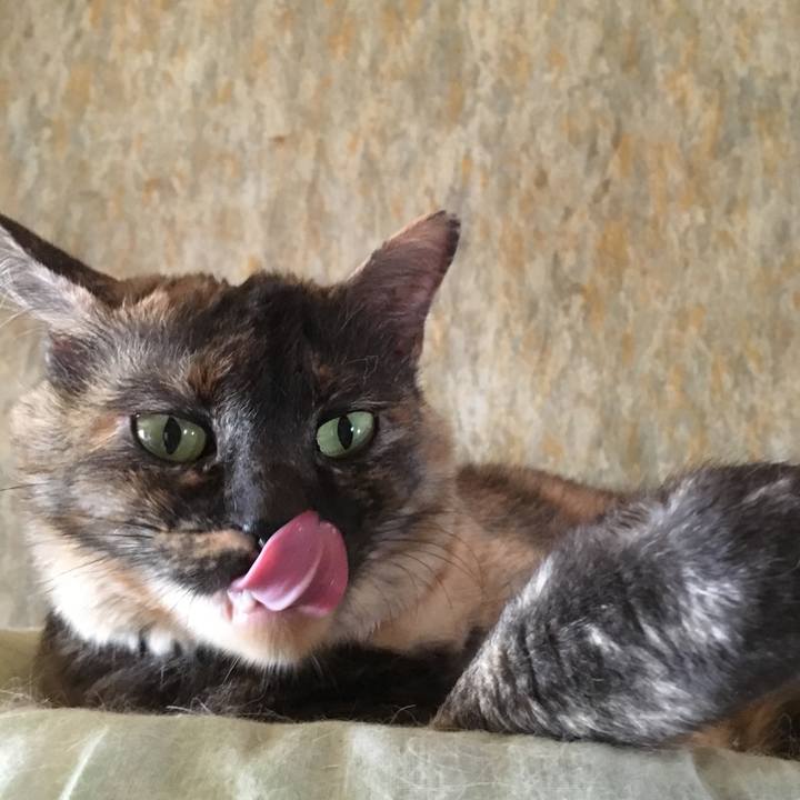 Eb1cfaf5 c635 49d5 9feb aa82ce11c53c