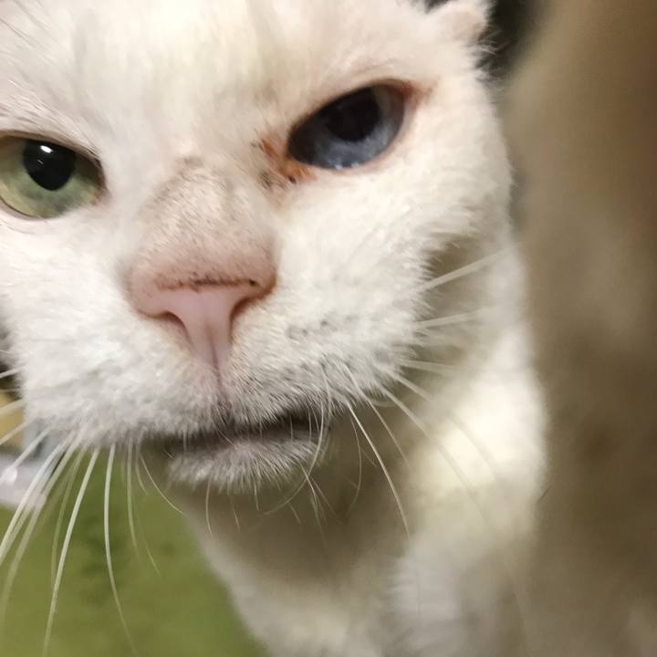 Eb1d8314 1f28 4cc4 bc60 a2a02757619c