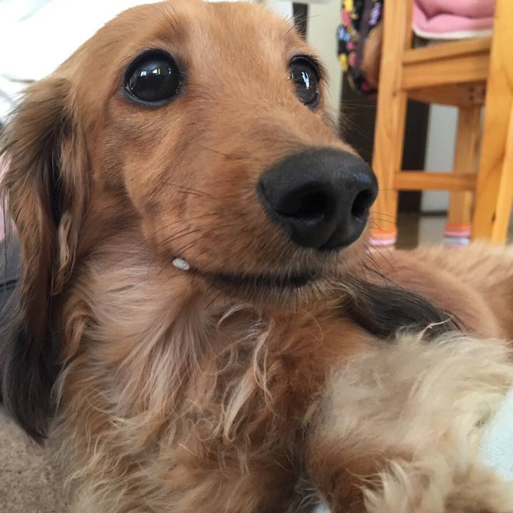 Eb1d8ea9 090d 4577 8cf7 7ea7299b5017