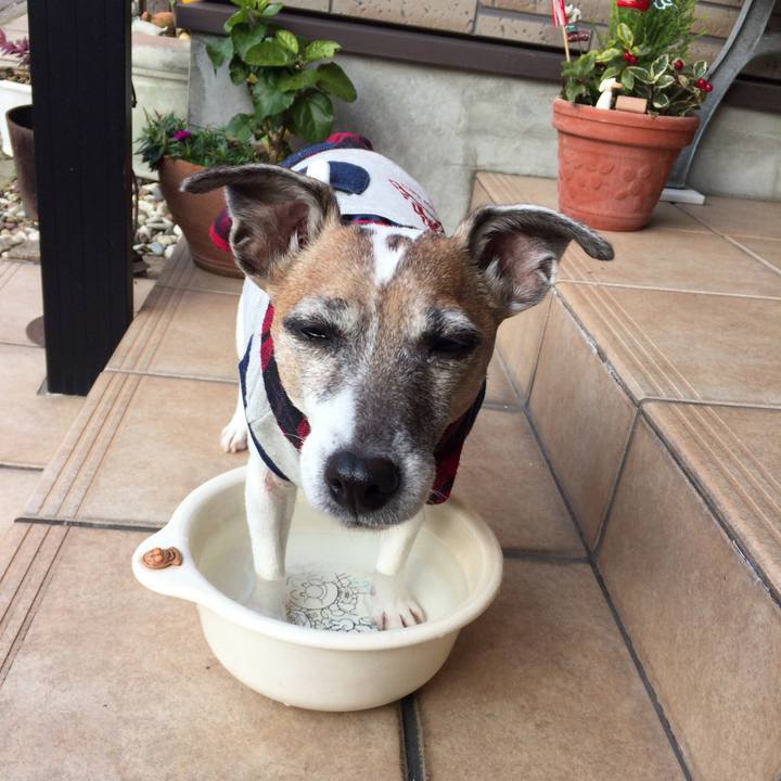 Eb1db7cc 6815 4ef9 852a fe24ad431b28