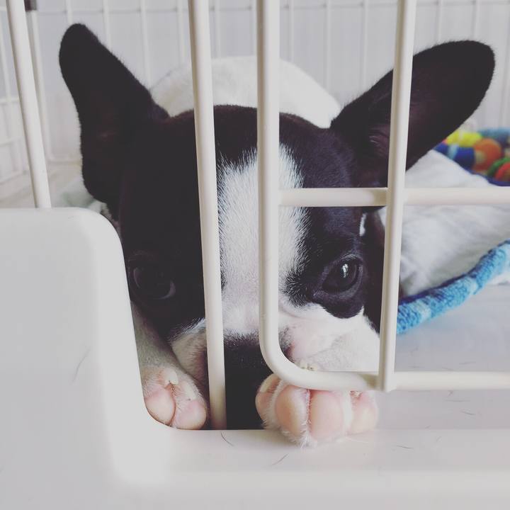 Eb1dba99 8da3 4e0b 95c6 cbad92dbe703