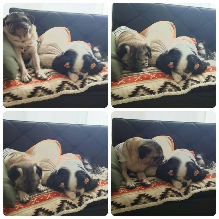 Eb1e3abd 168b 4d6d b610 0399f173bc27