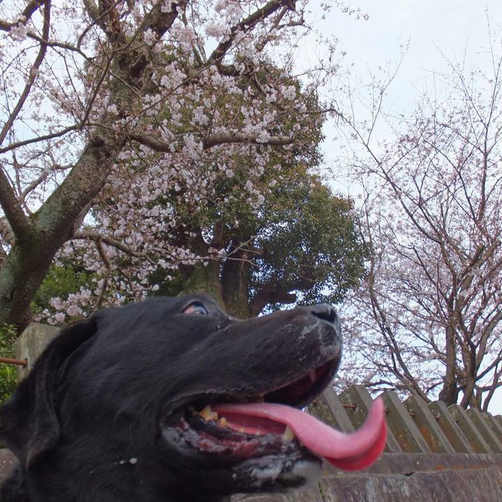 Eb1e9a7d e70e 47de 8e0f 7a709bec7619