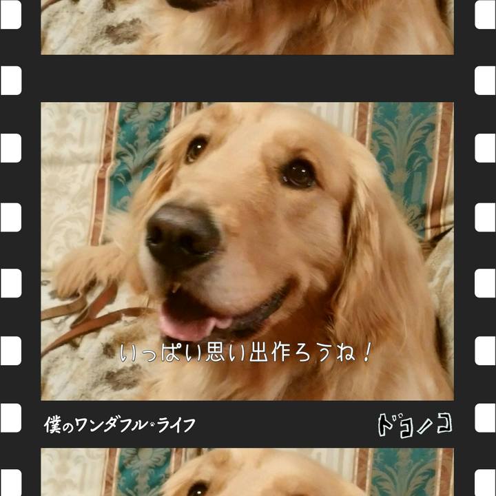 Eb1eabff 2173 4fba b45c 4b446bb9123f