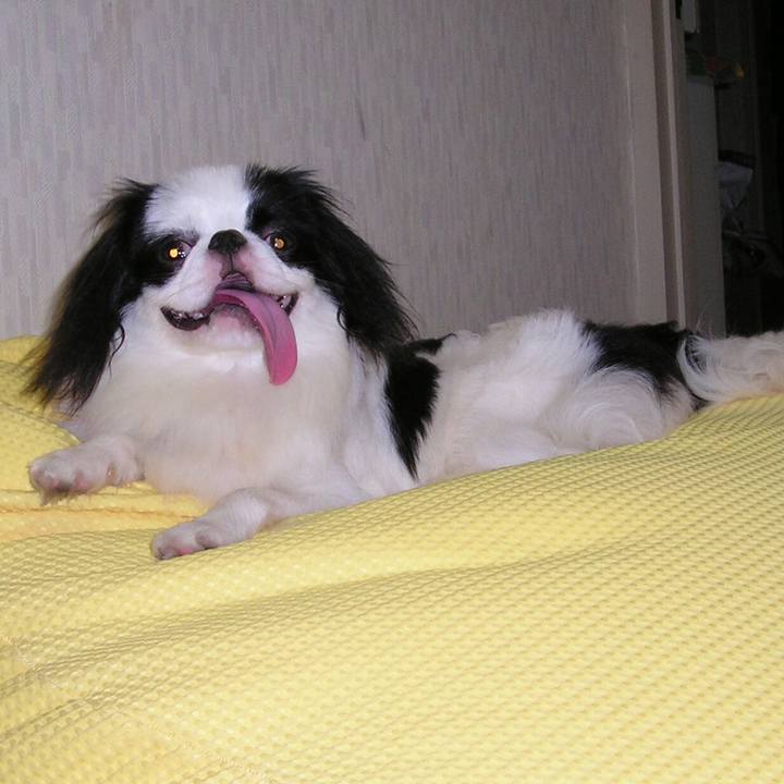 Eb1ec3bb f6f7 4d49 be9c 8038d1fc795b