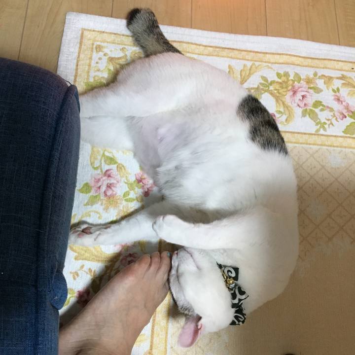 Eb1f16c4 2b61 4a9b af41 d09e9980fcd2