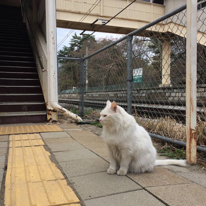 Eb1f7431 0e36 40f2 a6ac 525afbef9033