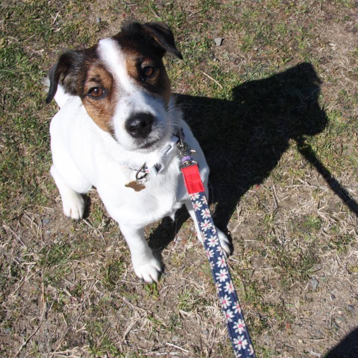 Eb1f8682 5112 4b50 b9d3 a23d2fed8603