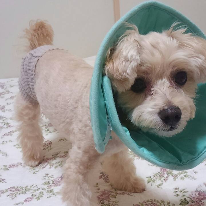 Eb1fa1b5 3186 4e3d 9da4 29d800ccf7d4