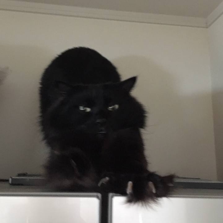 Eb205fc8 fcc0 4329 ba88 e50e756ae13f